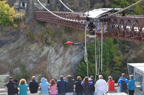 Bungy jumping – the craziest in New Zealand - ảnh 2